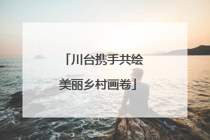 川台携手共绘美丽乡村画卷