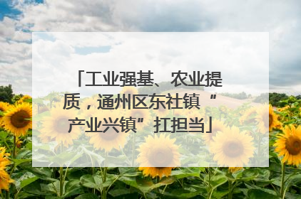 工业强基、农业提质，通州区东社镇“产业兴镇”扛担当