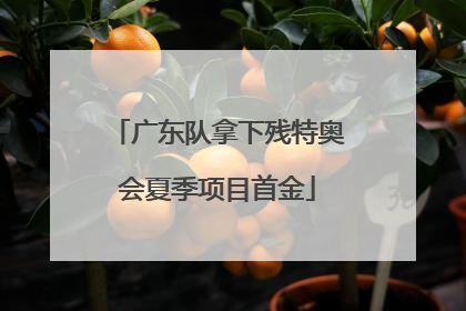 广东队拿下残特奥会夏季项目首金