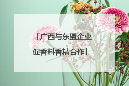 广西与东盟企业促香料香精合作