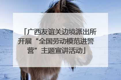 广西友谊关边境派出所开展“全国劳动模范进警营”主题宣讲活动