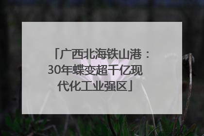 广西北海铁山港：30年蝶变超千亿现代化工业强区
