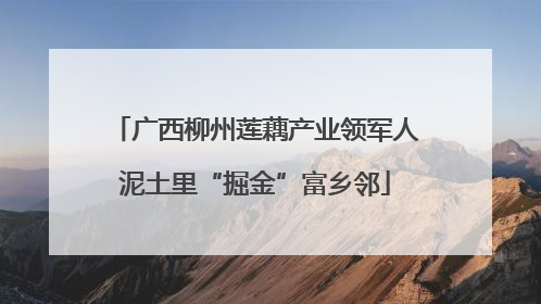 广西柳州莲藕产业领军人泥土里“掘金”富乡邻