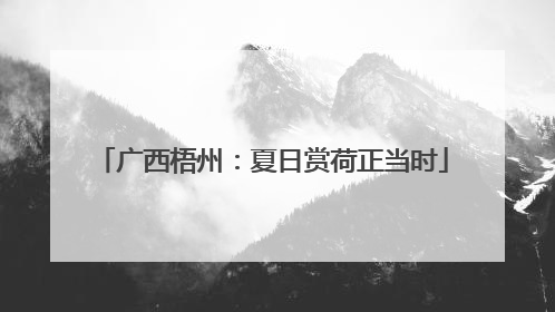 广西梧州：夏日赏荷正当时