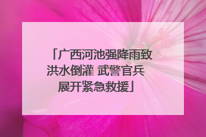 广西河池强降雨致洪水倒灌 武警官兵展开紧急救援