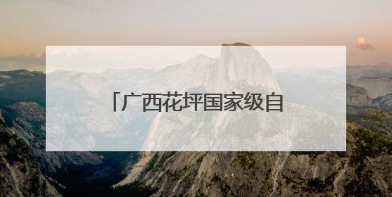 广西花坪国家级自然保护区守护“植物大熊猫”银杉