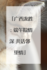 广西龙胜：端午粽情深 共话邻里情