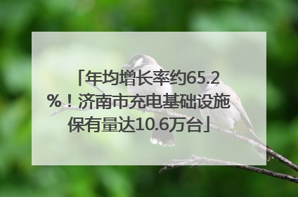 年均增长率约65.2%！济南市充电基础设施保有量达10.6万台