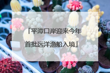 平潭口岸迎来今年首批远洋渔船入境