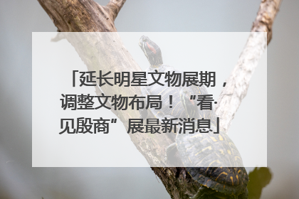 延长明星文物展期，调整文物布局！“看·见殷商”展最新消息
