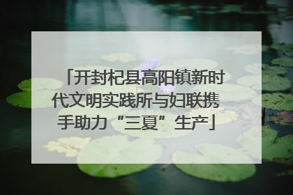 开封杞县高阳镇新时代文明实践所与妇联携手助力“三夏”生产