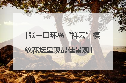 张三口环岛“祥云”模纹花坛呈现最佳景观