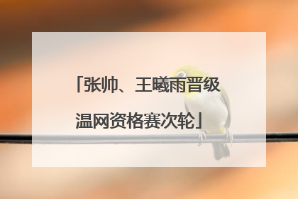 张帅、王曦雨晋级温网资格赛次轮