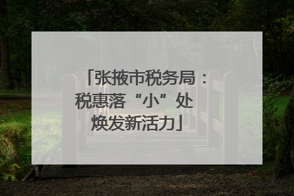 张掖市税务局：税惠落“小”处 焕发新活力