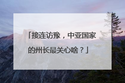 接连访豫，中亚国家的州长最关心啥？