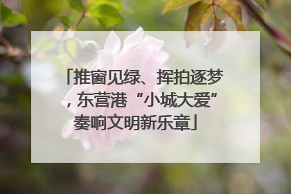 推窗见绿、挥拍逐梦，东营港“小城大爱”奏响文明新乐章