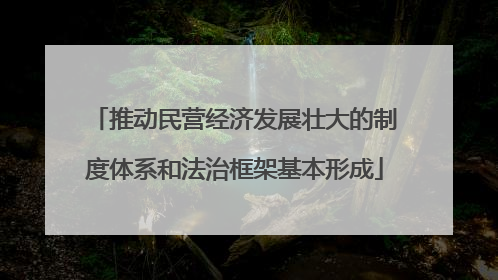 推动民营经济发展壮大的制度体系和法治框架基本形成