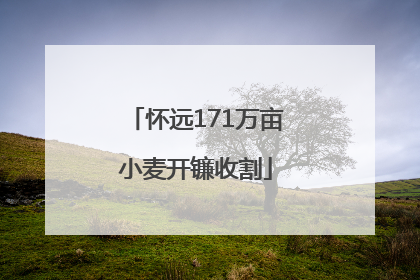 怀远171万亩小麦开镰收割