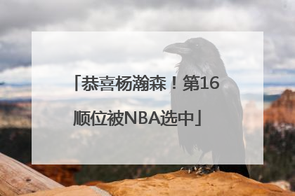 恭喜杨瀚森！第16顺位被NBA选中