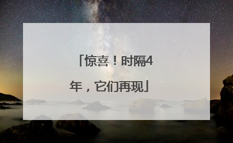 惊喜！时隔4年，它们再现