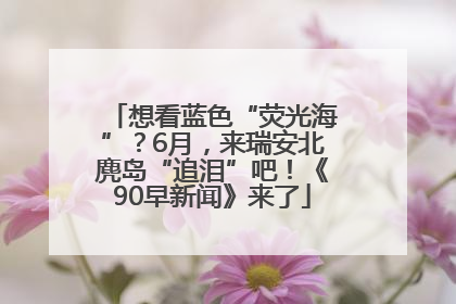 想看蓝色“荧光海”？6月，来瑞安北麂岛“追泪”吧！《90早新闻》来了