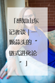 感知山东记者谈｜一颗蒜头的“链式进化论”