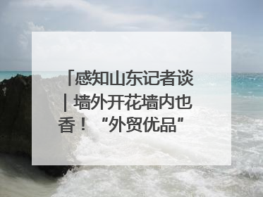 感知山东记者谈｜墙外开花墙内也香！“外贸优品”打通国内国际市场“旋转门”