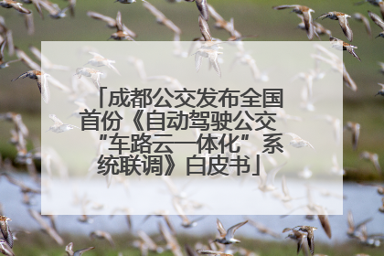成都公交发布全国首份《自动驾驶公交“车路云一体化”系统联调》白皮书
