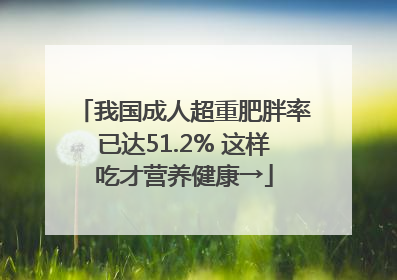我国成人超重肥胖率已达51.2% 这样吃才营养健康→