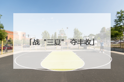 战“三夏” 夺丰收