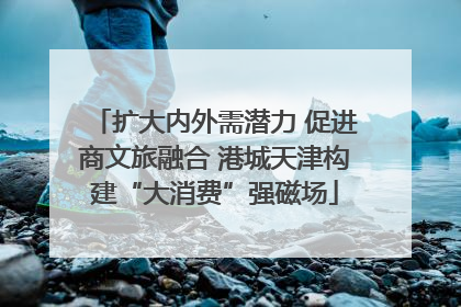 扩大内外需潜力 促进商文旅融合 港城天津构建“大消费”强磁场