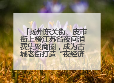 扬州东关街、皮市街上榜江苏省夜间消费集聚商圈，成为古城老街打造“夜经济”的样本