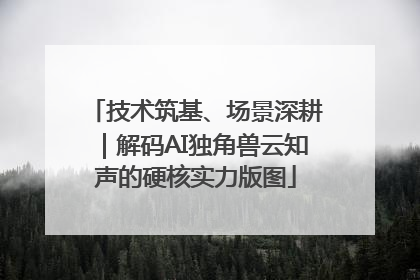 技术筑基、场景深耕｜解码AI独角兽云知声的硬核实力版图