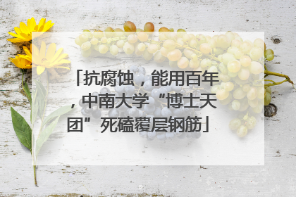 抗腐蚀，能用百年，中南大学“博士天团”死磕覆层钢筋