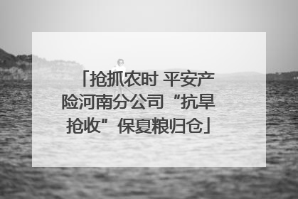 抢抓农时 平安产险河南分公司“抗旱抢收”保夏粮归仓