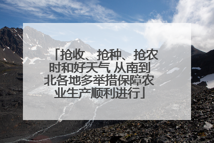 抢收、抢种、抢农时和好天气 从南到北各地多举措保障农业生产顺利进行