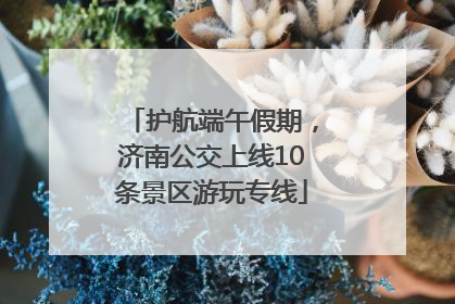 护航端午假期，济南公交上线10条景区游玩专线