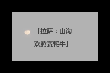 拉萨：山沟欢腾赛牦牛