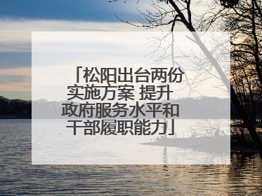 松阳出台两份实施方案 提升政府服务水平和干部履职能力