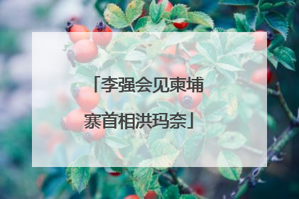 李强会见柬埔寨首相洪玛奈
