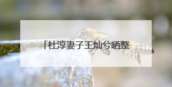 杜淳妻子王灿兮晒整柜Labubu，一众爆款IP齐聚！网友：我的 “梦中情柜”