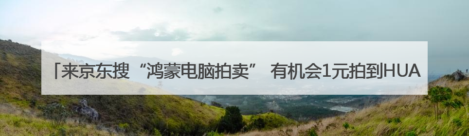 来京东搜“鸿蒙电脑拍卖” 有机会1元拍到HUAWEI MateBook Fold 非凡大师