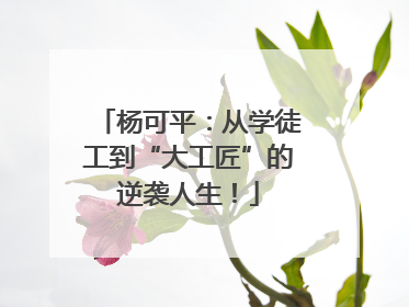 杨可平：从学徒工到“大工匠”的逆袭人生！