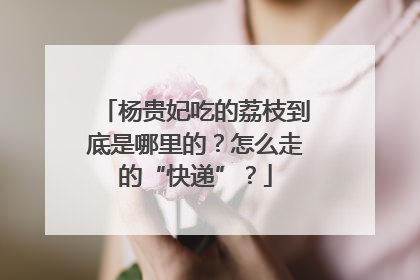 杨贵妃吃的荔枝到底是哪里的？怎么走的“快递”？