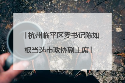 杭州临平区委书记陈如根当选市政协副主席