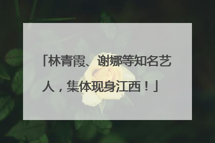 林青霞、谢娜等知名艺人，集体现身江西！