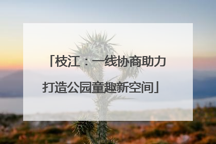 枝江：一线协商助力打造公园童趣新空间