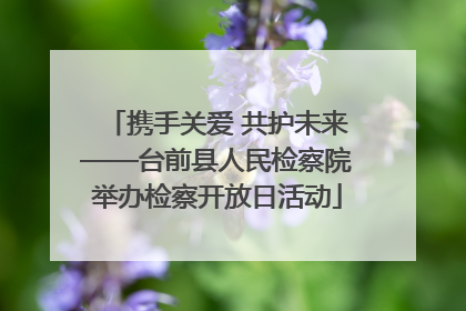 携手关爱 共护未来——台前县人民检察院举办检察开放日活动