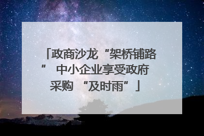 政商沙龙“架桥铺路” 中小企业享受政府采购 “及时雨”