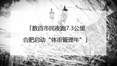 数百市民夜跑7.3公里 合肥启动“体重管理年”